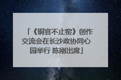 《铜官不止窑》创作交流会在长沙政协同心园举行 陈刚出席