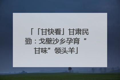 「甘快看」甘肃民勤：戈壁沙乡孕育“甘味”领头羊