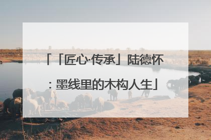 「匠心·传承」陆德怀：墨线里的木构人生