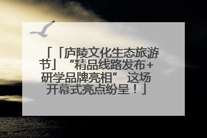 「庐陵文化生态旅游节」“精品线路发布+研学品牌亮相” 这场开幕式亮点纷呈！