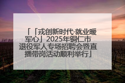 「戎创新时代·就业暖军心」2025年铜仁市退役军人专场招聘会暨直播带岗活动顺利举行