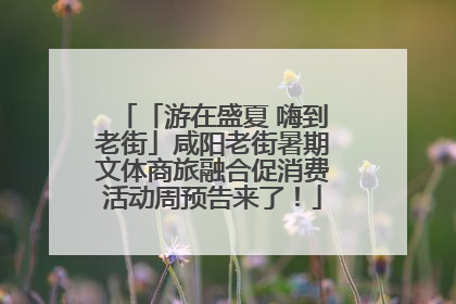 「游在盛夏 嗨到老街」咸阳老街暑期文体商旅融合促消费活动周预告来了！