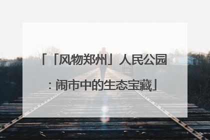 「风物郑州」人民公园：闹市中的生态宝藏