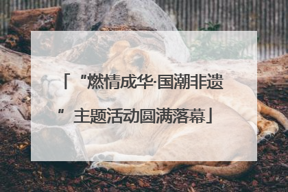 “燃情成华·国潮非遗”主题活动圆满落幕