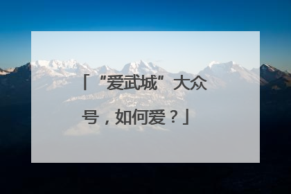 “爱武城”大众号，如何爱？
