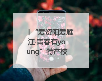 “爱资阳爱雁江·青春有young”特产校园行活动启幕