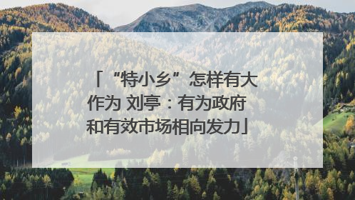 “特小乡”怎样有大作为 刘亭：有为政府和有效市场相向发力