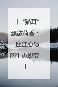 “猫耳”飘散荷香：一座江心岛的生态蜕变