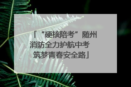 “硬核陪考”随州消防全力护航中考 筑梦青春安全路