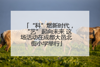 “科”燃新时代，“艺”起向未来 这场活动在成都大邑北街小学举行