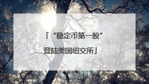 “稳定币第一股”登陆美国纽交所