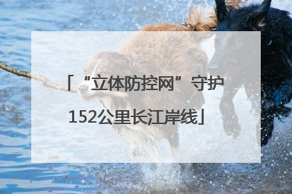 “立体防控网”守护152公里长江岸线