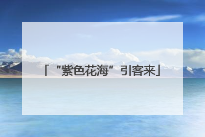 “紫色花海”引客来