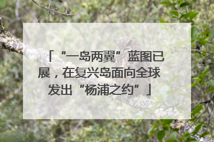 “一岛两翼”蓝图已展，在复兴岛面向全球发出“杨浦之约”