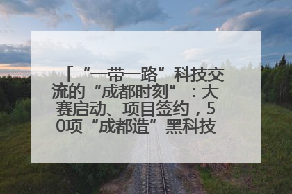 “一带一路”科技交流的“成都时刻”：大赛启动、项目签约，50项“成都造”黑科技吸引多国客商
