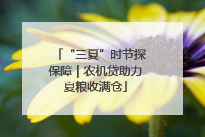 “三夏”时节探保障｜农机贷助力夏粮收满仓