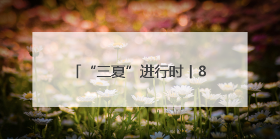 “三夏”进行时丨866.27公斤！河北小麦亩产创新高