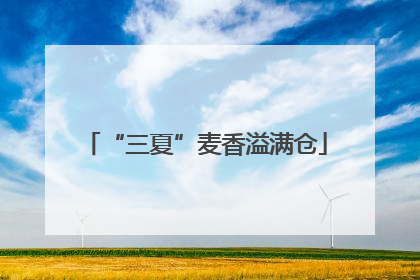 “三夏”麦香溢满仓