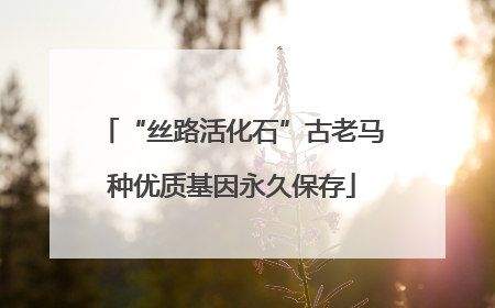 “丝路活化石”古老马种优质基因永久保存
