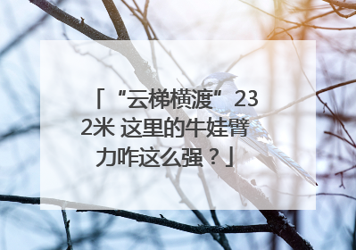 “云梯横渡”232米 这里的牛娃臂力咋这么强？