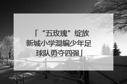 “五玫瑰”绽放 新城小学混编少年足球队勇夺四强