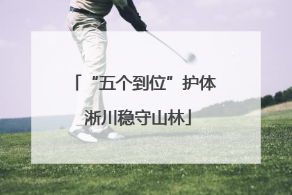 “五个到位”护体 淅川稳守山林