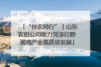 “伴农同行”｜山东农担公司助力菏泽巨野蛋鸡产业高质量发展
