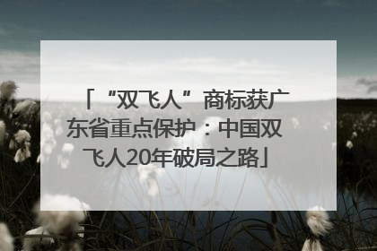 “双飞人”商标获广东省重点保护：中国双飞人20年破局之路