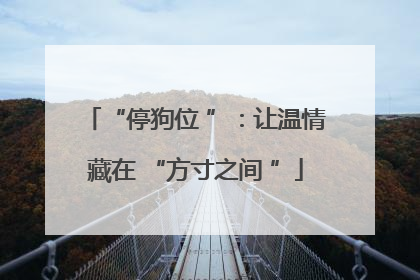 “停狗位 ”：让温情藏在 “方寸之间 ”