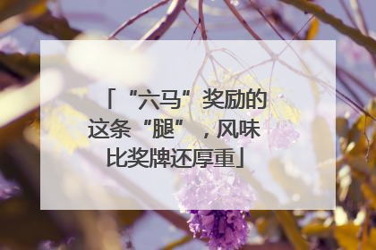 “六马”奖励的这条“腿”，风味比奖牌还厚重