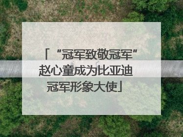 “冠军致敬冠军” 赵心童成为比亚迪冠军形象大使