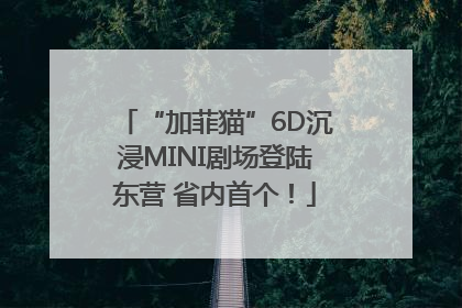 “加菲猫”6D沉浸MINI剧场登陆东营 省内首个！