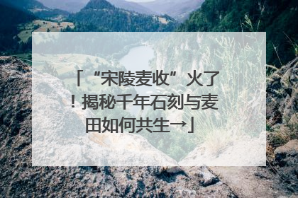 “宋陵麦收”火了！揭秘千年石刻与麦田如何共生→