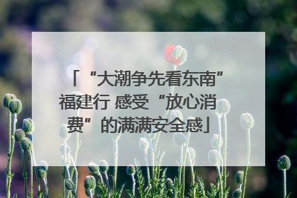 “大潮争先看东南”福建行 感受“放心消费”的满满安全感