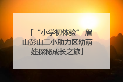 “小学初体验” 眉山彭山二小助力区幼萌娃探秘成长之旅