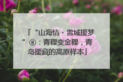 “山海情・雪域援梦”⑧：青稞变金稞，青岛援藏的高原样本