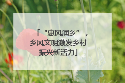 “惠风润乡”，乡风文明激发乡村振兴新活力