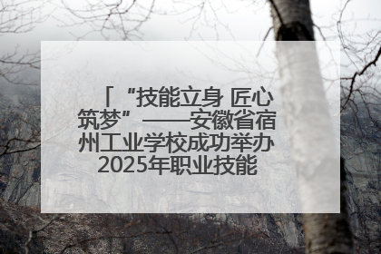 “技能立身 匠心筑梦”——安徽省宿州工业学校成功举办2025年职业技能活动周各项活动