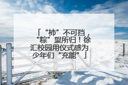 “柿”不可挡，“粽”望所归！徐汇校园用仪式感为少年们“充能”
