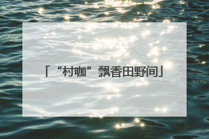 “村咖”飘香田野间