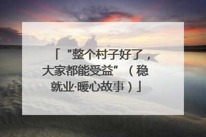 “整个村子好了，大家都能受益”（稳就业·暖心故事）