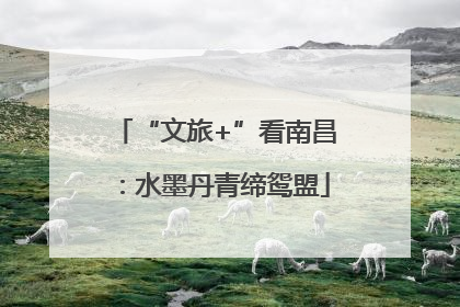 “文旅+”看南昌：水墨丹青缔鸳盟