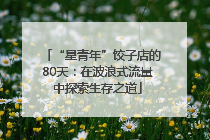 “星青年”饺子店的80天：在波浪式流量中探索生存之道