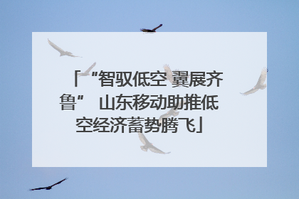 “智驭低空 翼展齐鲁” 山东移动助推低空经济蓄势腾飞
