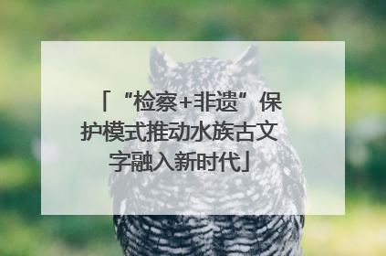 “检察+非遗”保护模式推动水族古文字融入新时代