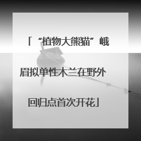 “植物大熊猫”峨眉拟单性木兰在野外回归点首次开花