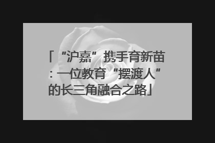 “沪嘉”携手育新苗：一位教育“摆渡人”的长三角融合之路