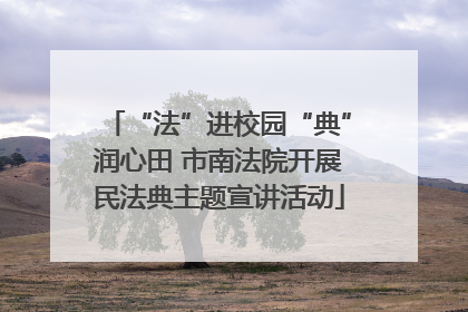 “法”进校园“典”润心田 市南法院开展民法典主题宣讲活动