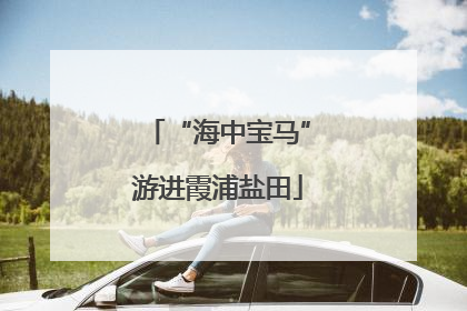 “海中宝马”游进霞浦盐田