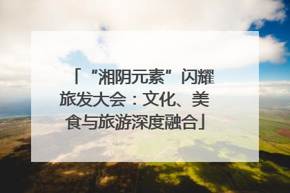 “湘阴元素”闪耀旅发大会：文化、美食与旅游深度融合